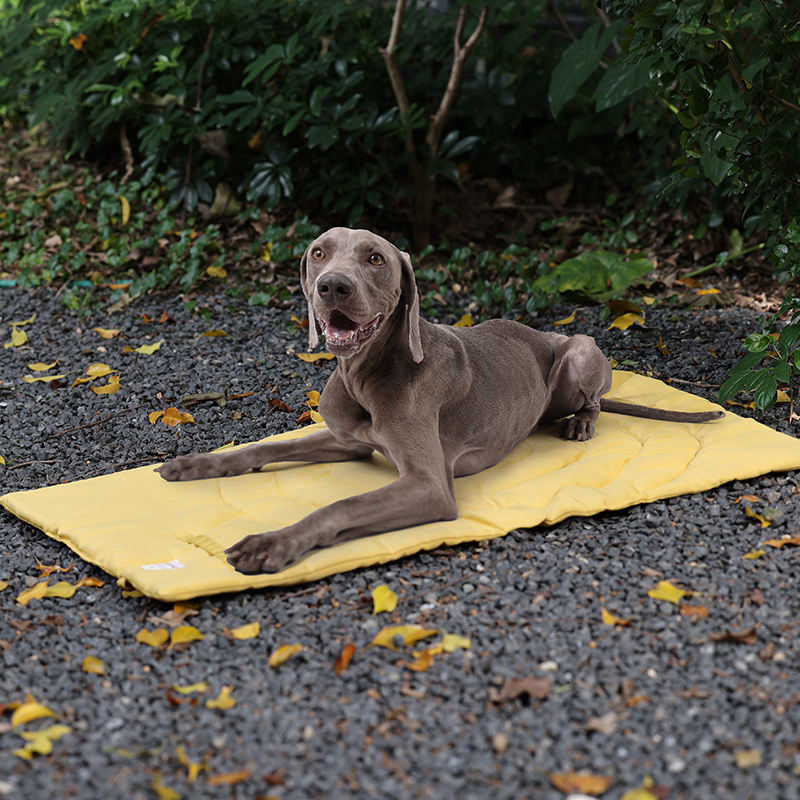 Portable Pet Mat Foldable Pet  - đánh giá và giá Outdoor Rug Waterproof